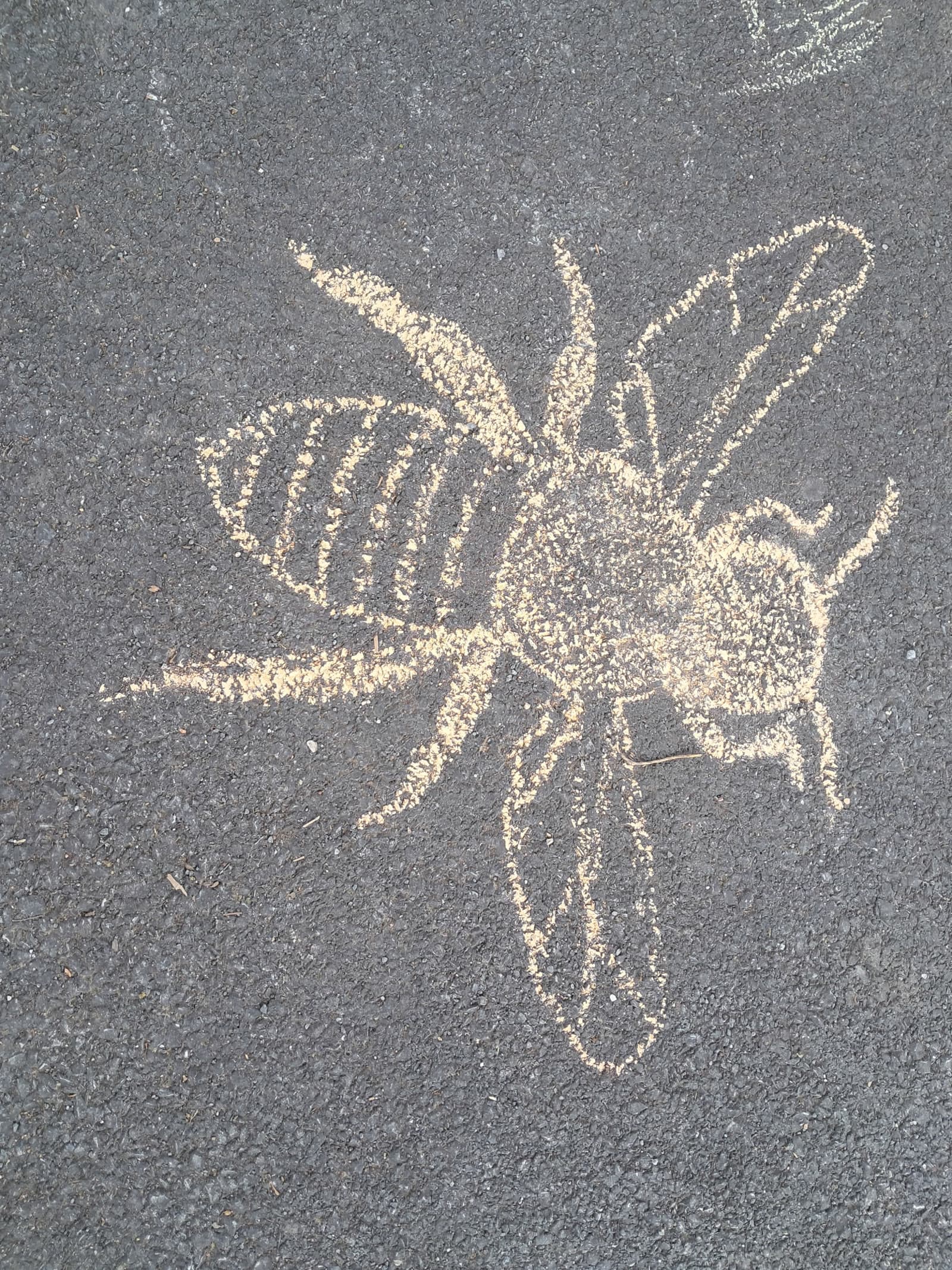 The finished chalk bumble bee on the driveway after tracing it with Plancast
