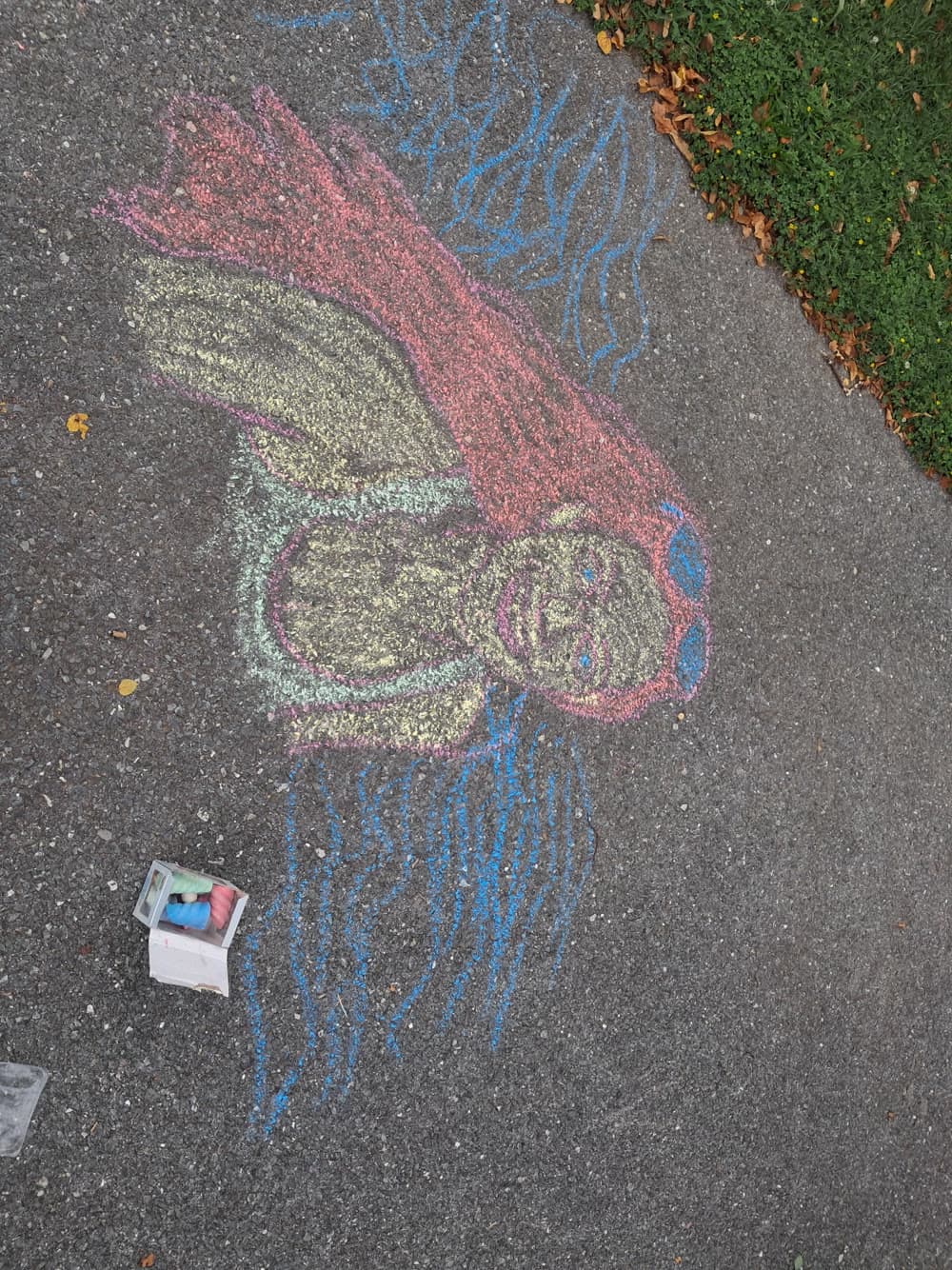 Large chalk mermaid portrait drawn on a walking path with Plancast