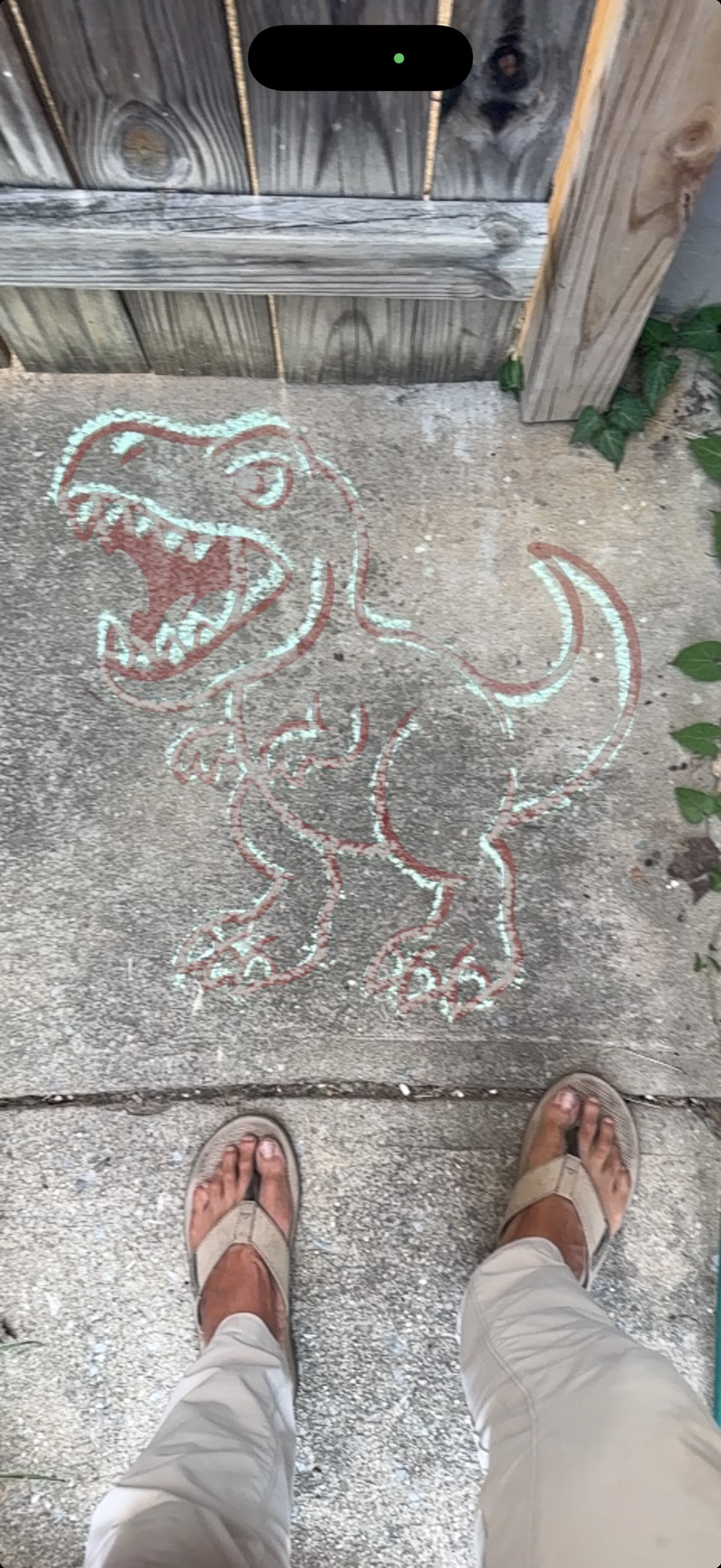 Phone screenshot of the T-rex cast onto a patio in live AR, half traced in chalk